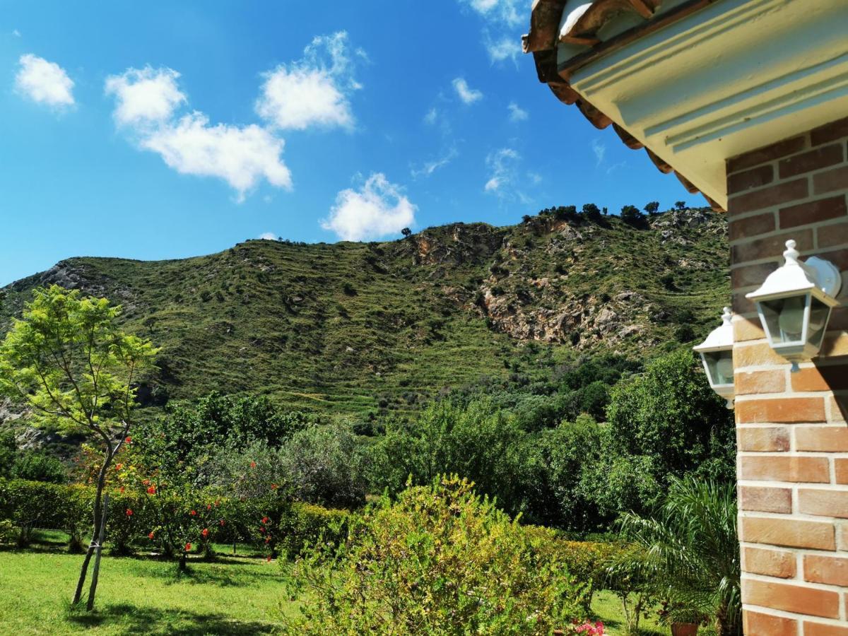 Il Mandorlo Villa Amantea Exterior photo