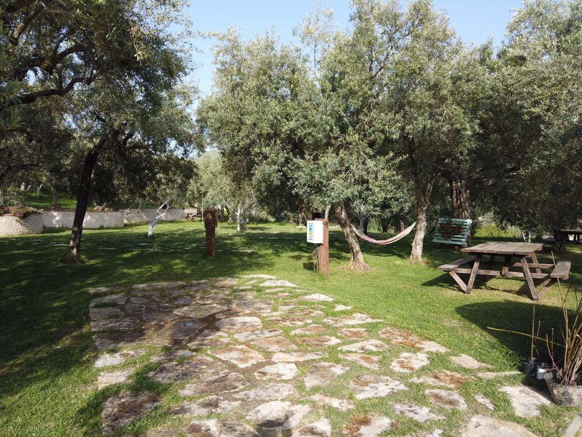 Il Mandorlo Villa Amantea Exterior photo
