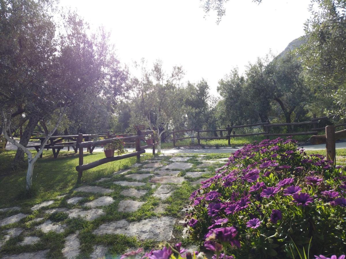 Il Mandorlo Villa Amantea Exterior photo